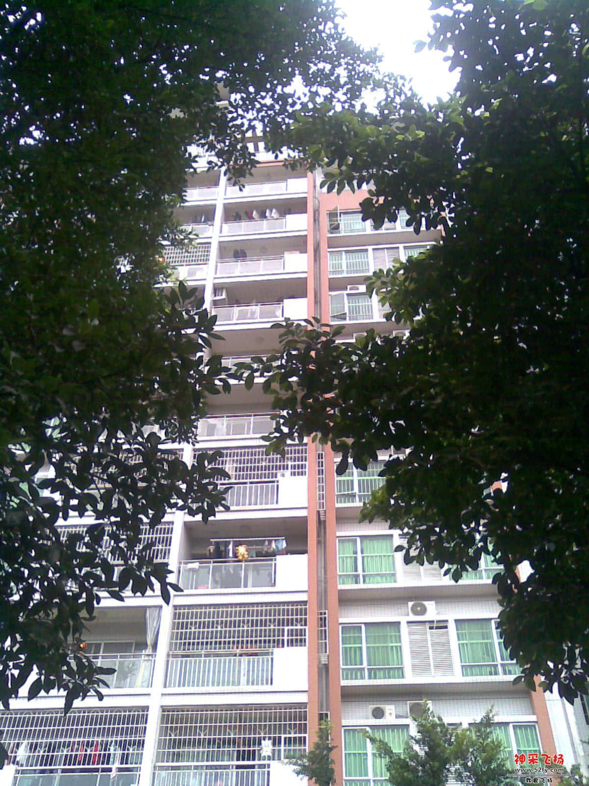 20130216(003).jpg