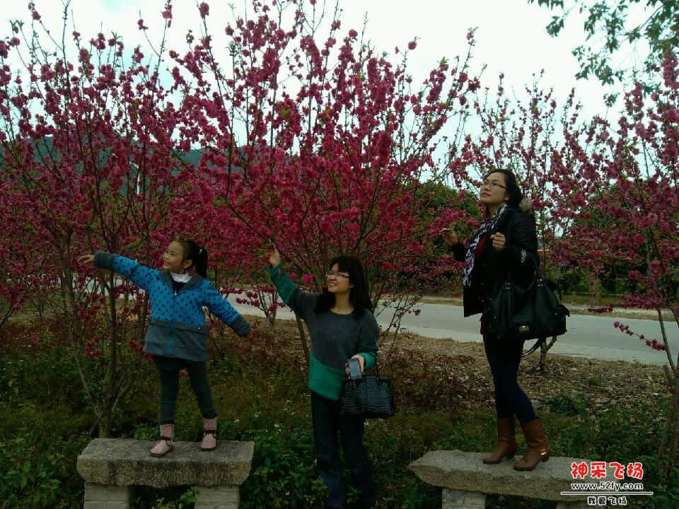 IMG_20130219_163348.jpg