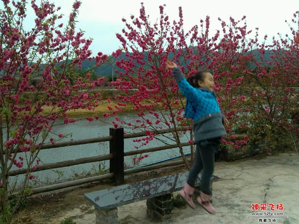IMG_20130219_164029.jpg