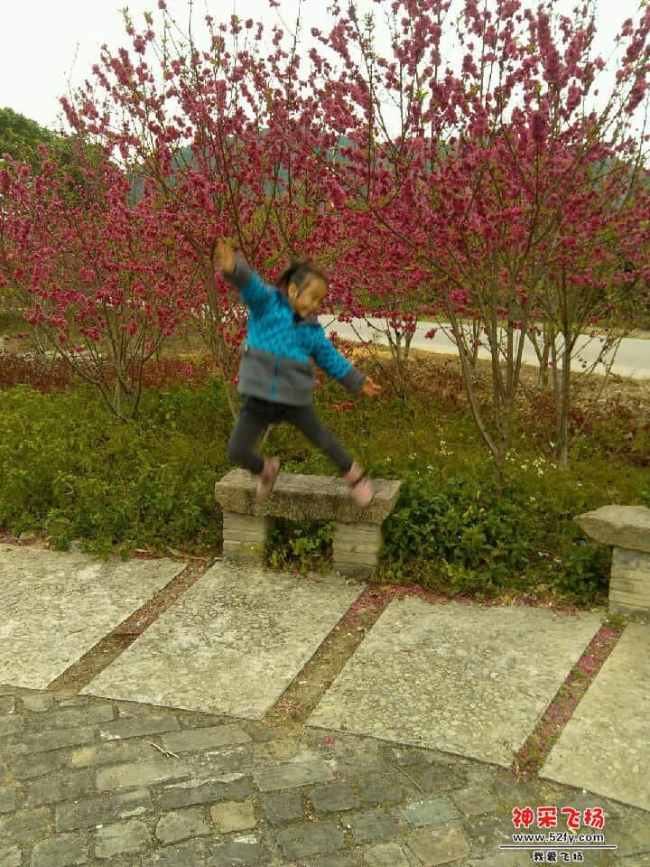 IMG_20130219_163028.jpg
