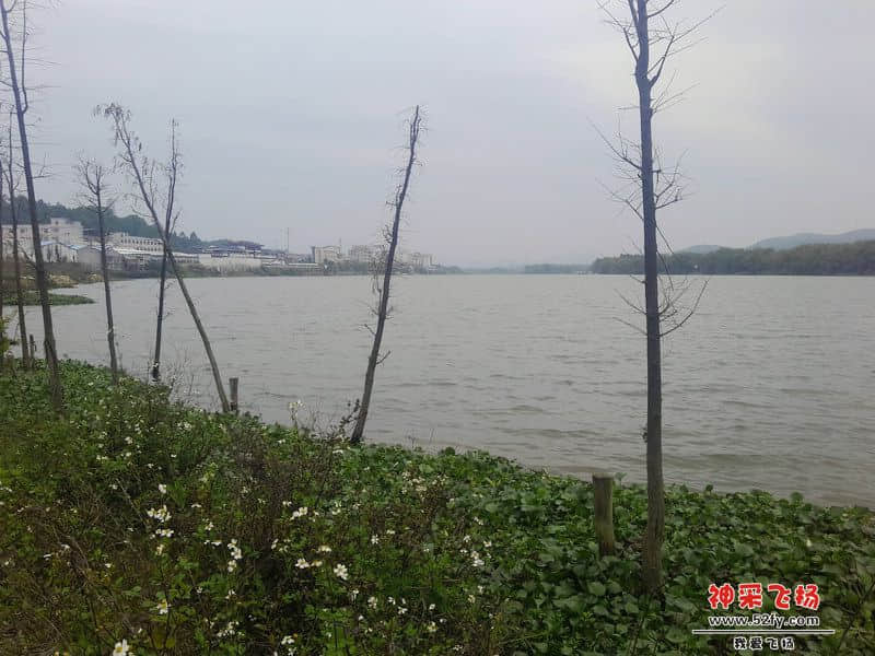 IMG_20130303_091820.jpg