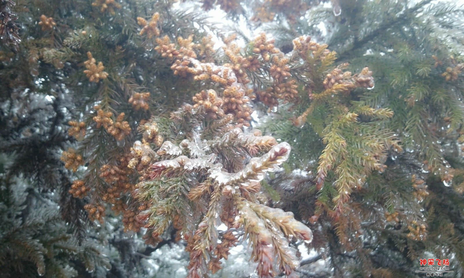 C360_2013-02-13-12-11-31.jpg