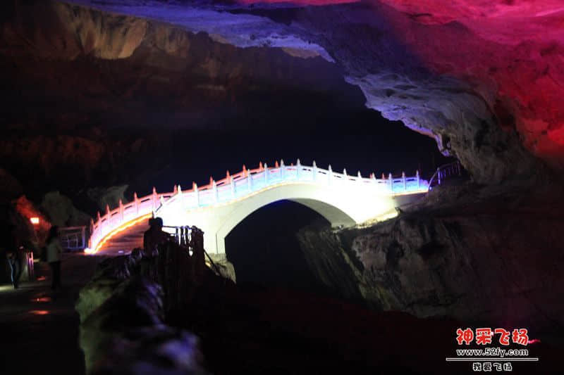 IMG_4869.jpg