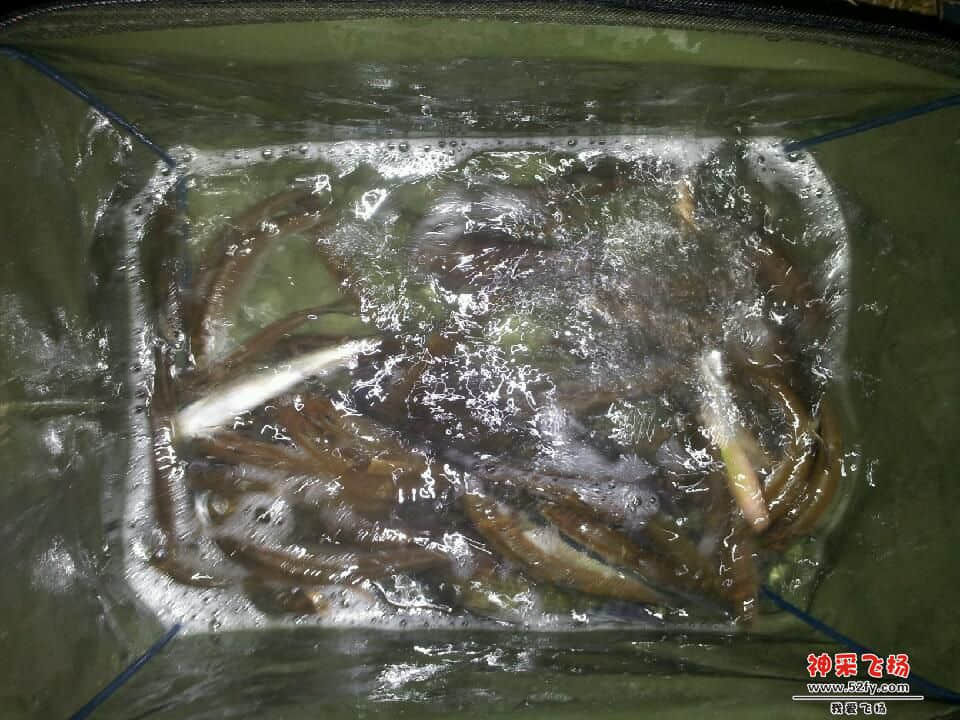 20130309_233123.jpg