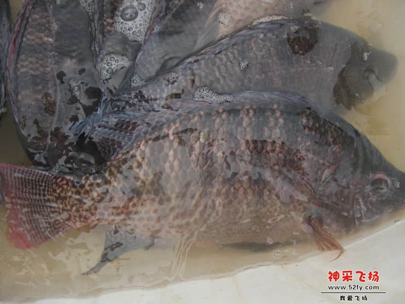 IMG_1596_副本.jpg