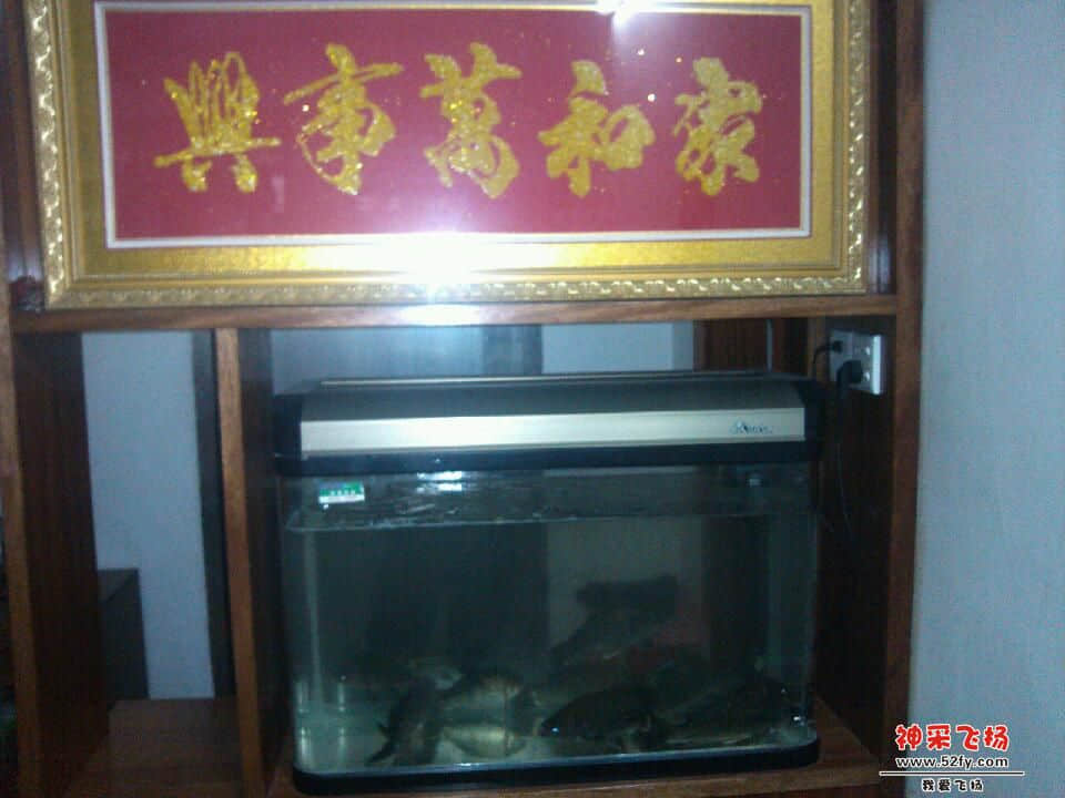 IMG_20130314_180032.jpg