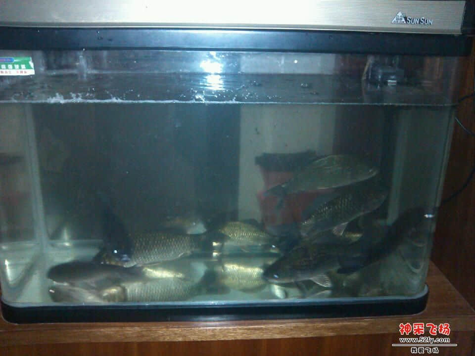 IMG_20130314_180041.jpg