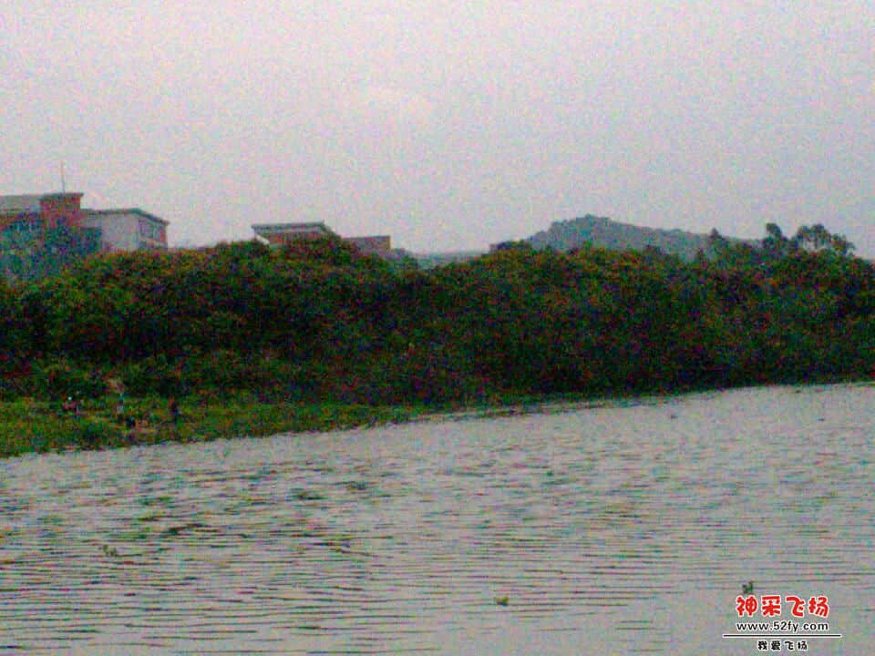 IMG_20130317_160654.jpg