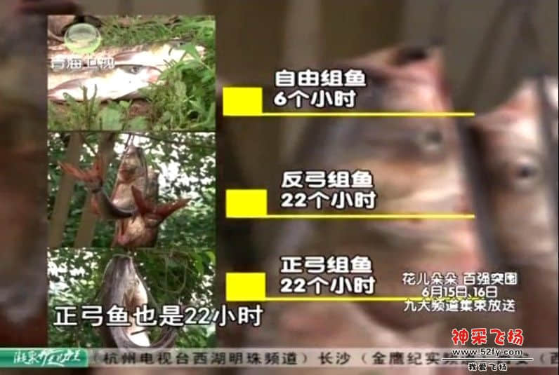 QQ截图20130320223946.jpg