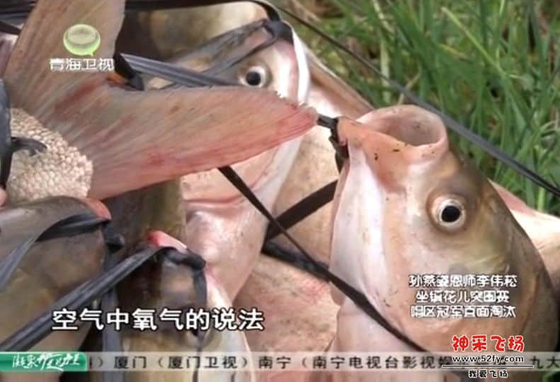 QQ截图20130320224032.jpg