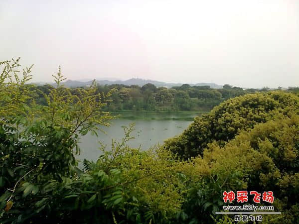 20110424959.jpg