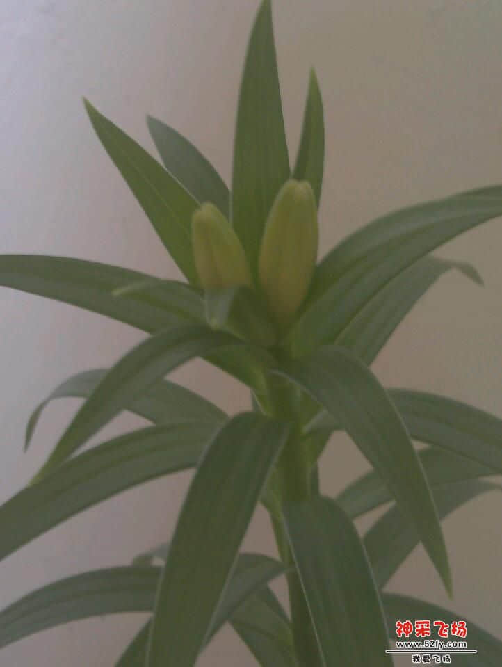 IMAG0297.jpg
