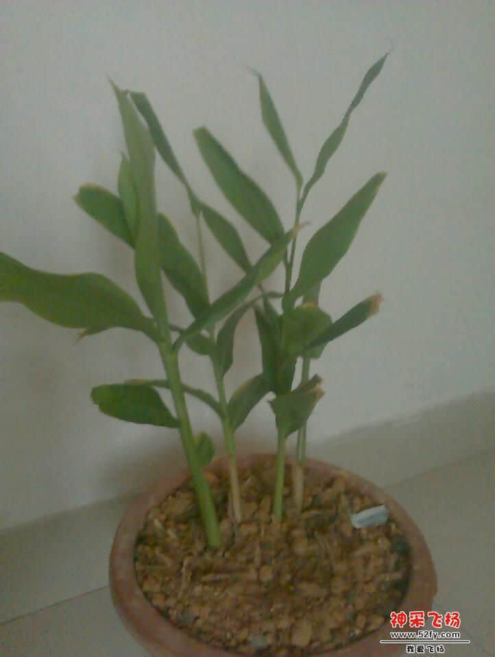 IMAG0308.jpg