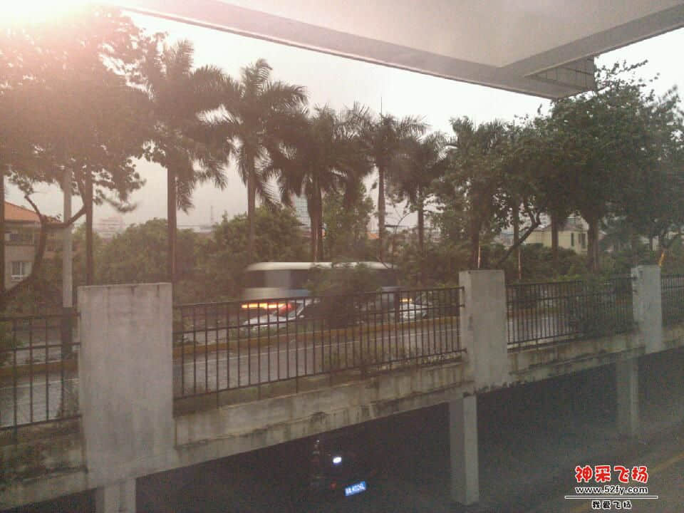 IMG_20130328_095246.jpg
