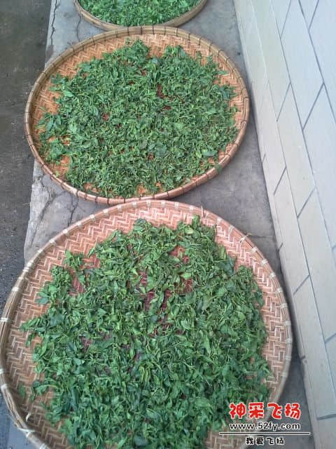 刷过2次后的茶叶