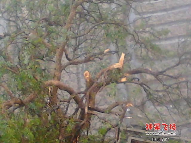 未命名3.jpg