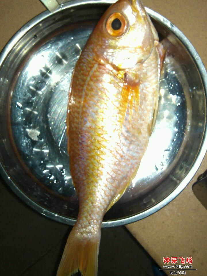 IMG_20130401_173444.jpg