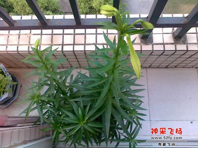 20130414814.jpg