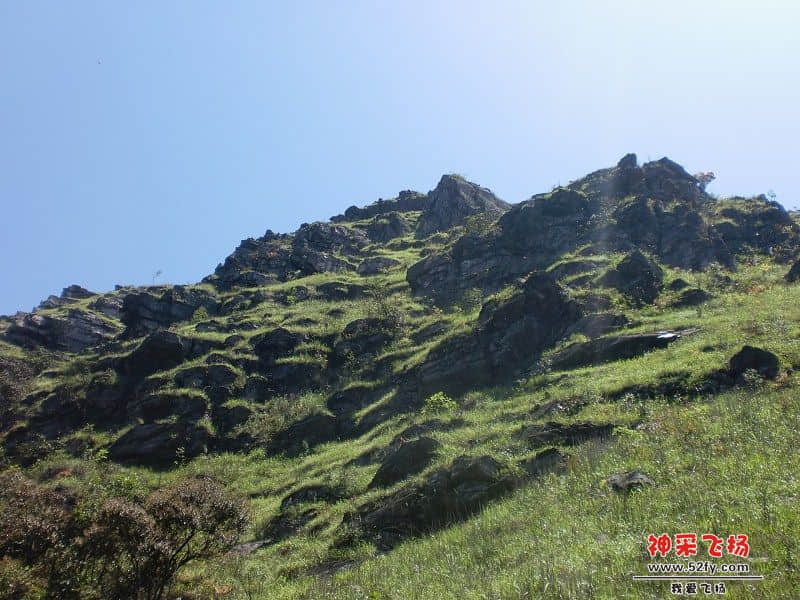 77.jpg