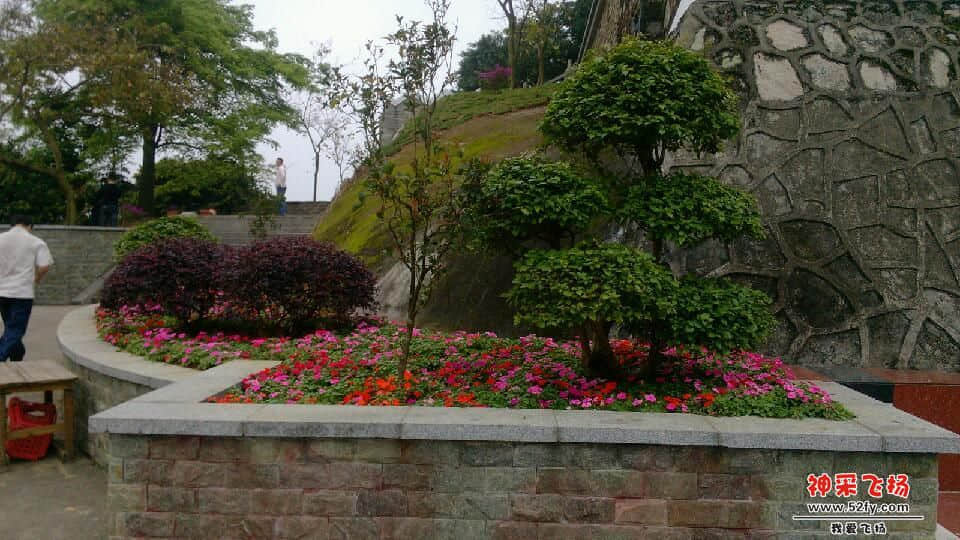 IMG_20130422_165908.jpg