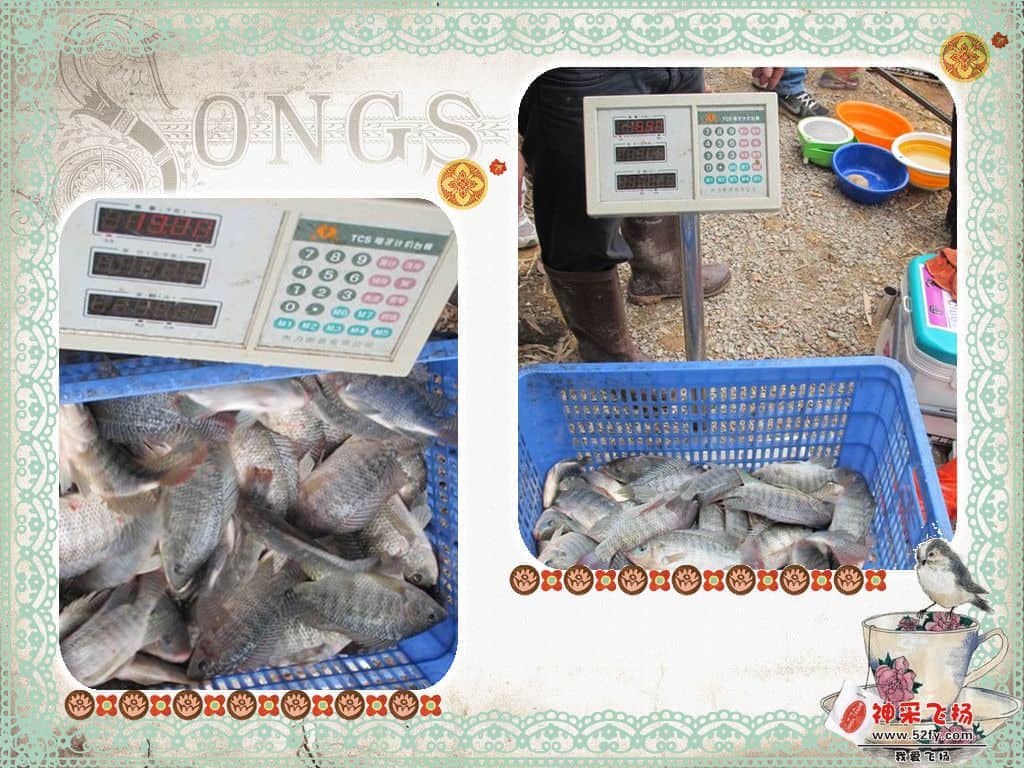 22882_副本.jpg