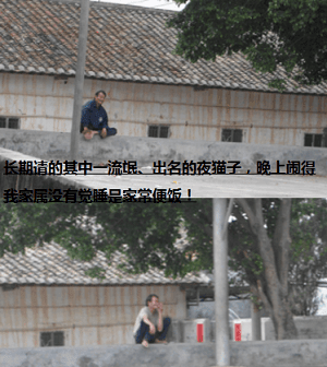 捕获 - 副本 (5).PNG