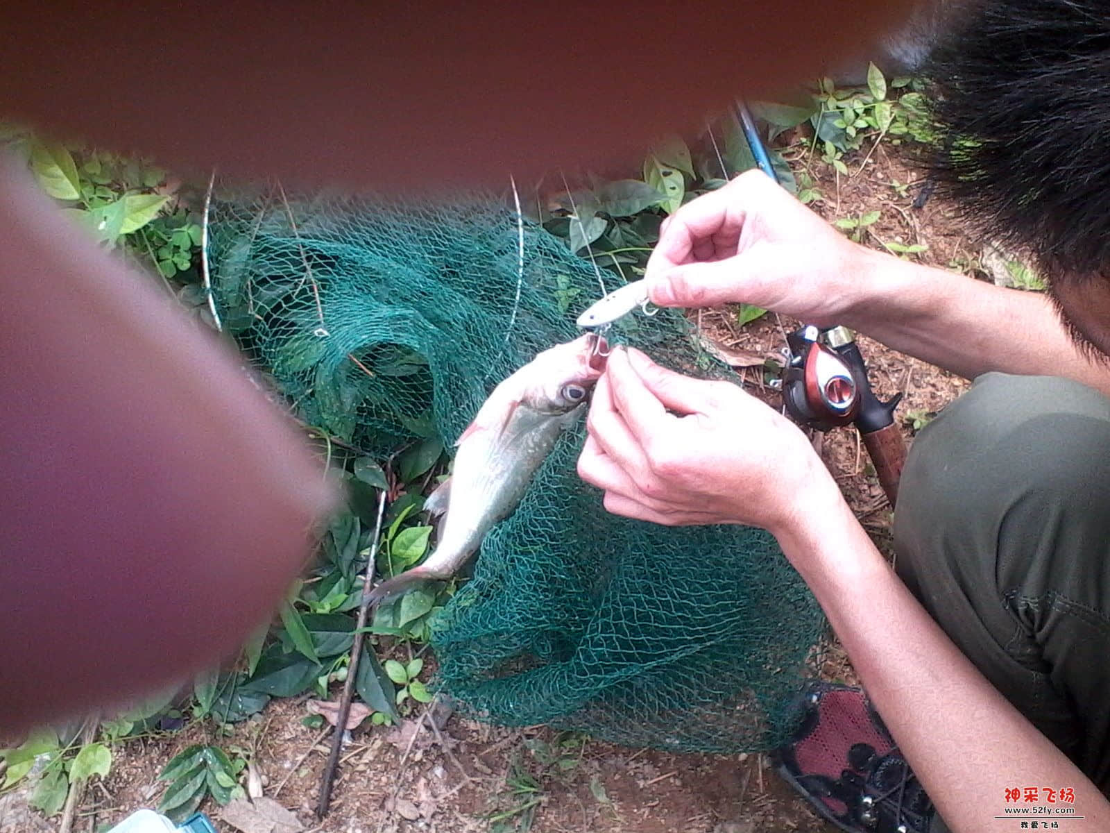 IMG_20130505_112738.jpg