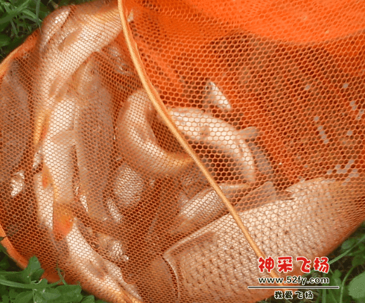 QQ截图20130509171312.png