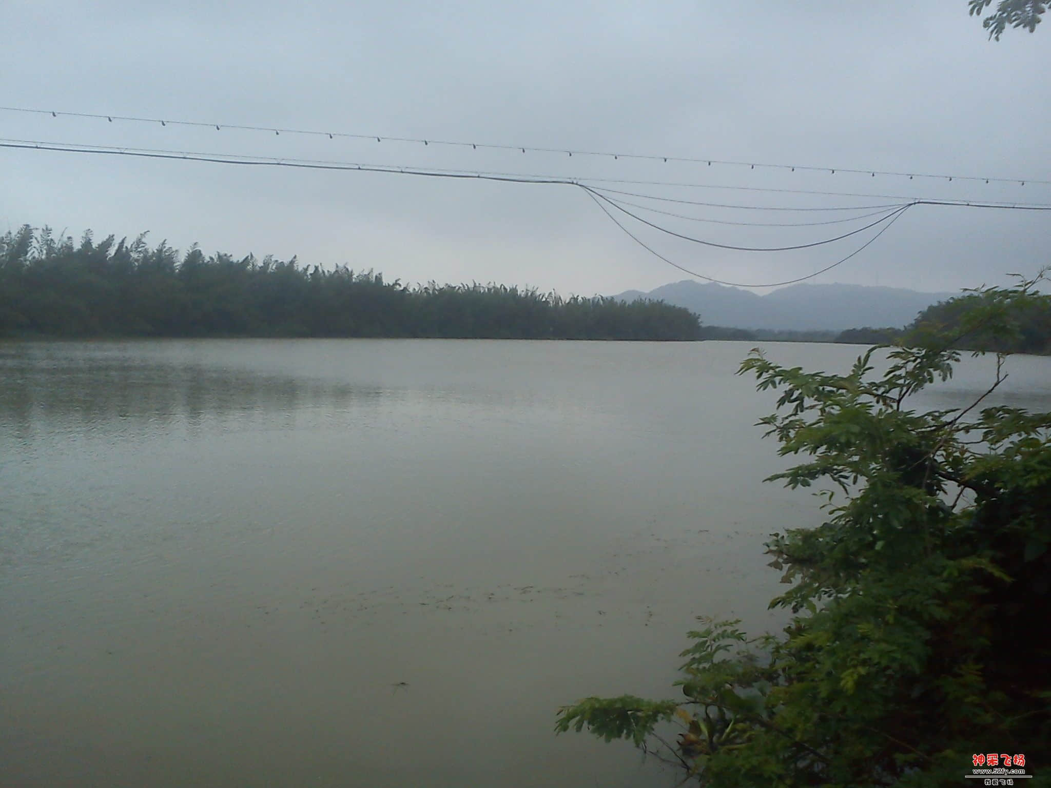 DSC00489.jpg