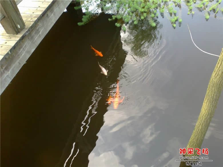 20130511062.jpg