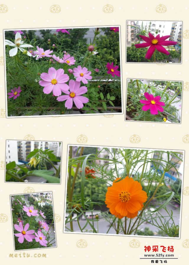 pt2013_05_12_21_33_14.jpg