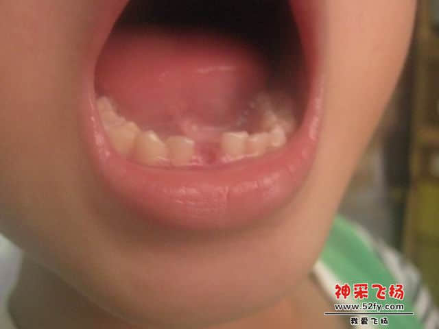 照片 2739.jpg