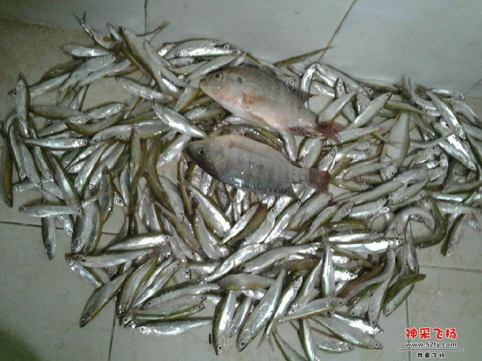 茂墩.jpg