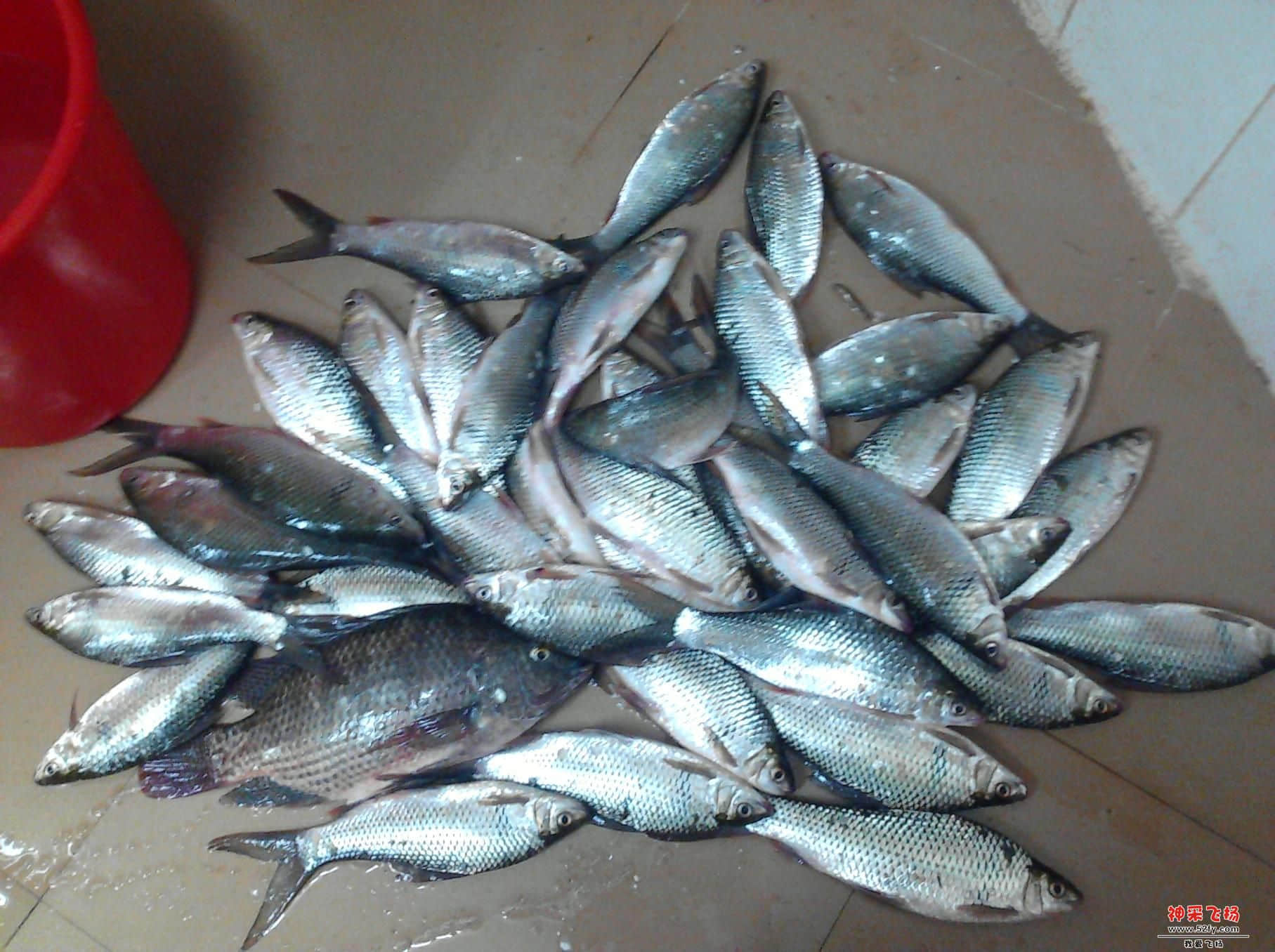 照片 153.jpg