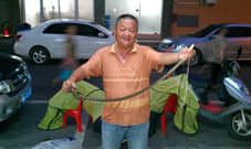 567_2013053119230800_IMAG0647.jpg