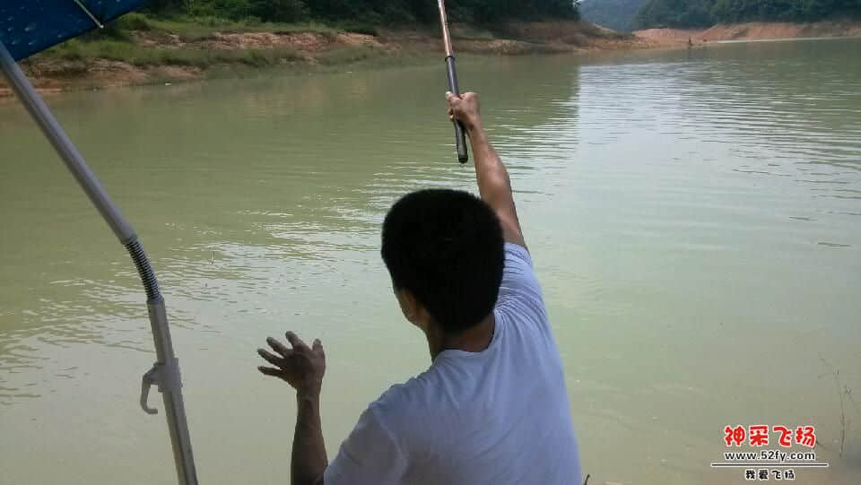 IMG_20130530_142035.jpg