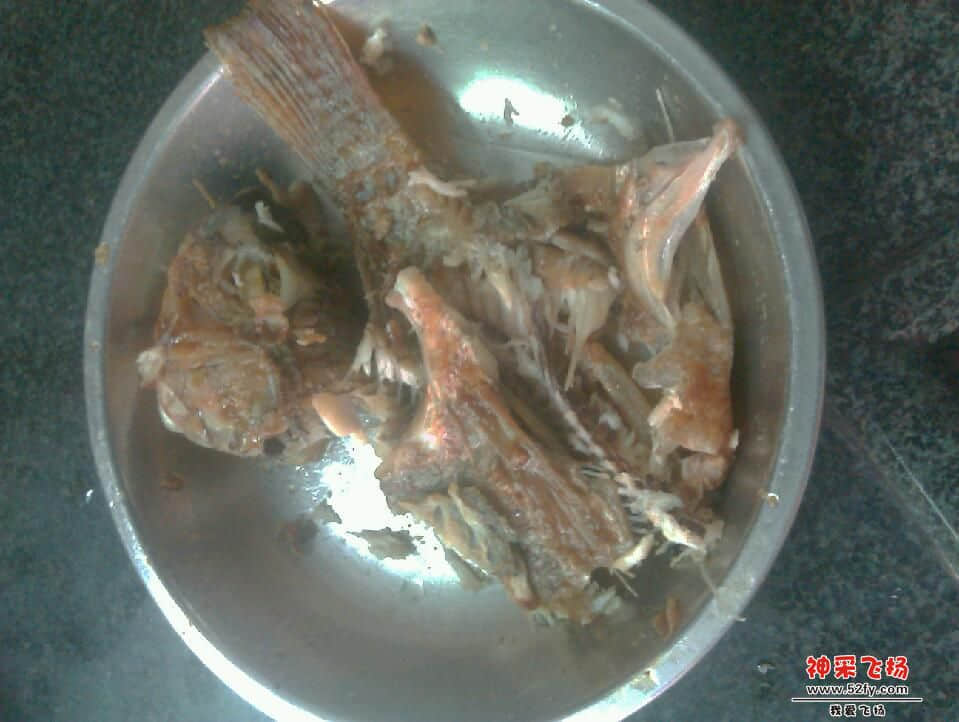 IMAG0494.jpg