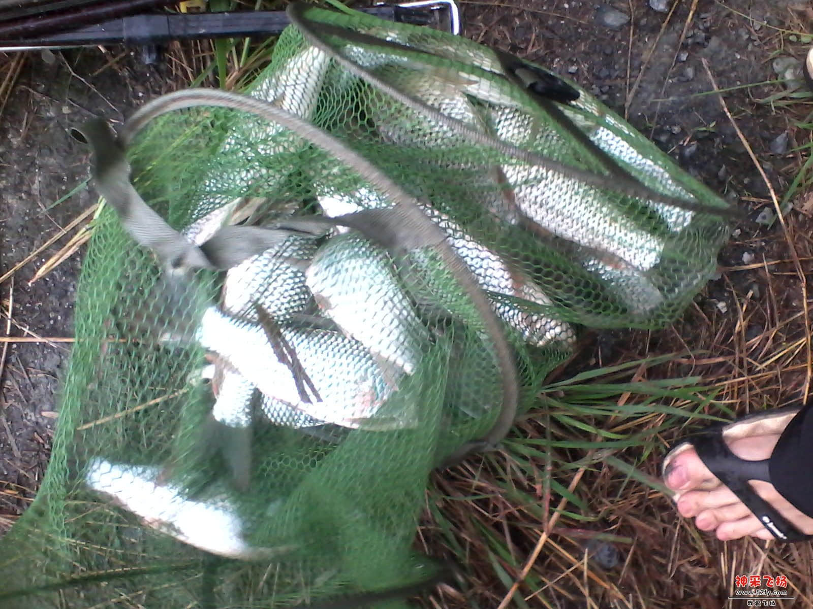 IMG_20130611_161413.jpg