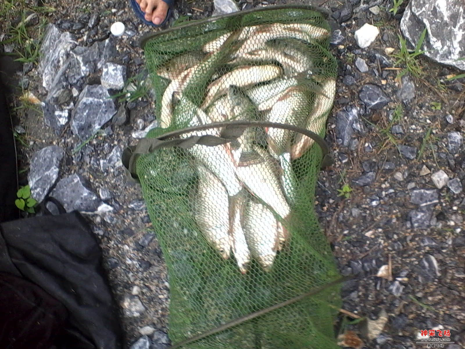 IMG_20130611_162315.jpg