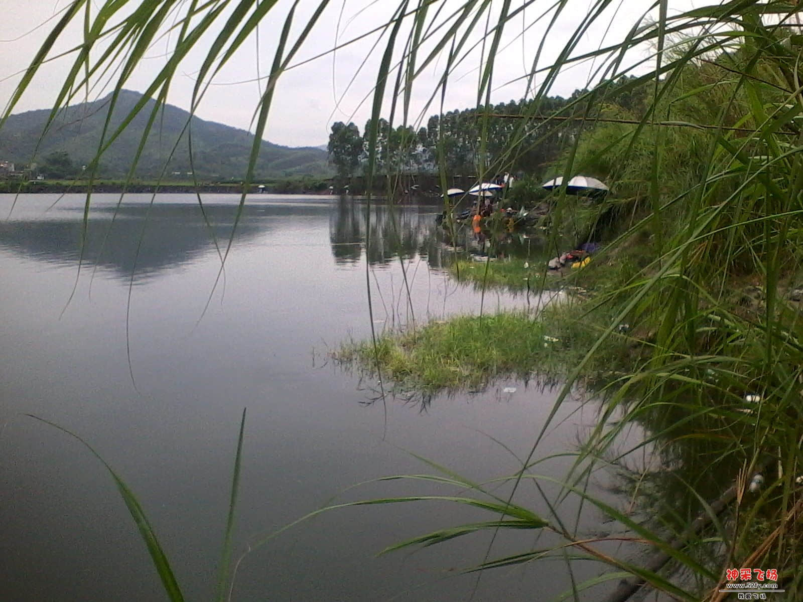 IMG_20130611_155757.jpg