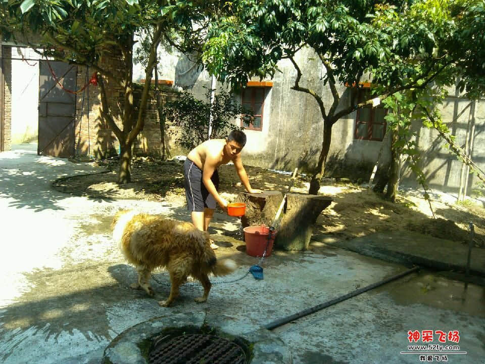 IMG_20130612_150236.jpg