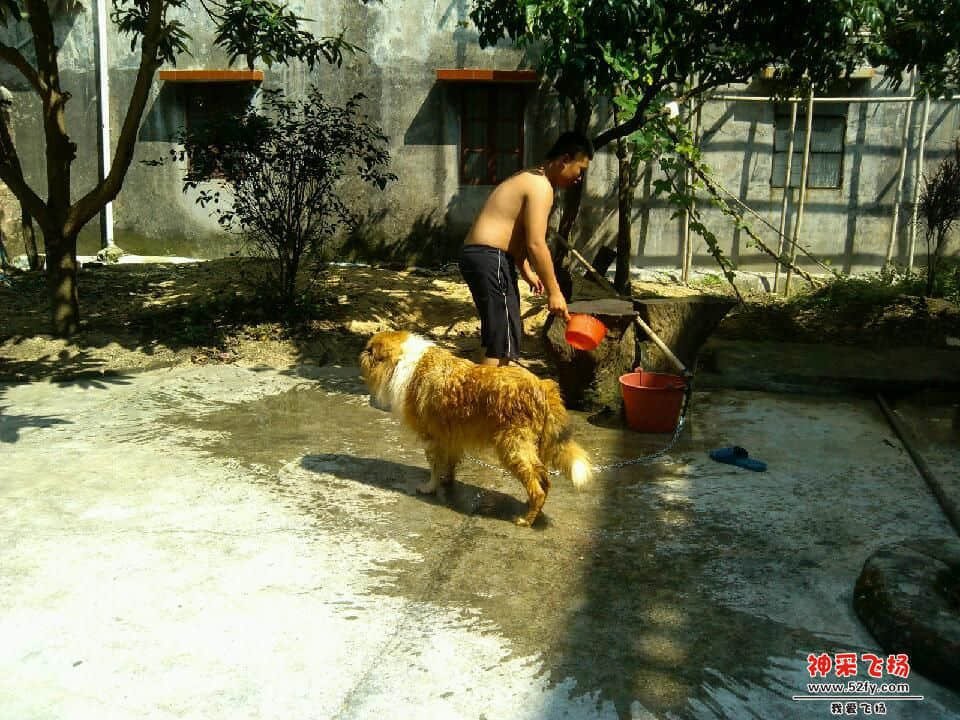IMG_20130612_150252.jpg