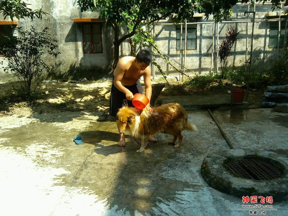 IMG_20130612_150308.jpg