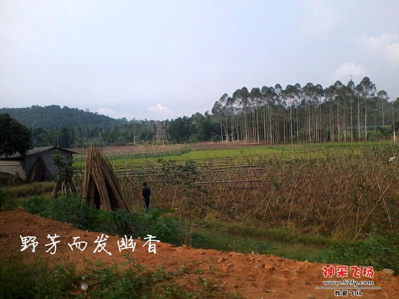 IMG_20130620_083445_副本.jpg