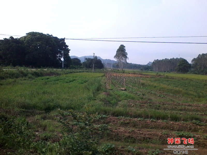 IMG_20130620_083326_副本.jpg