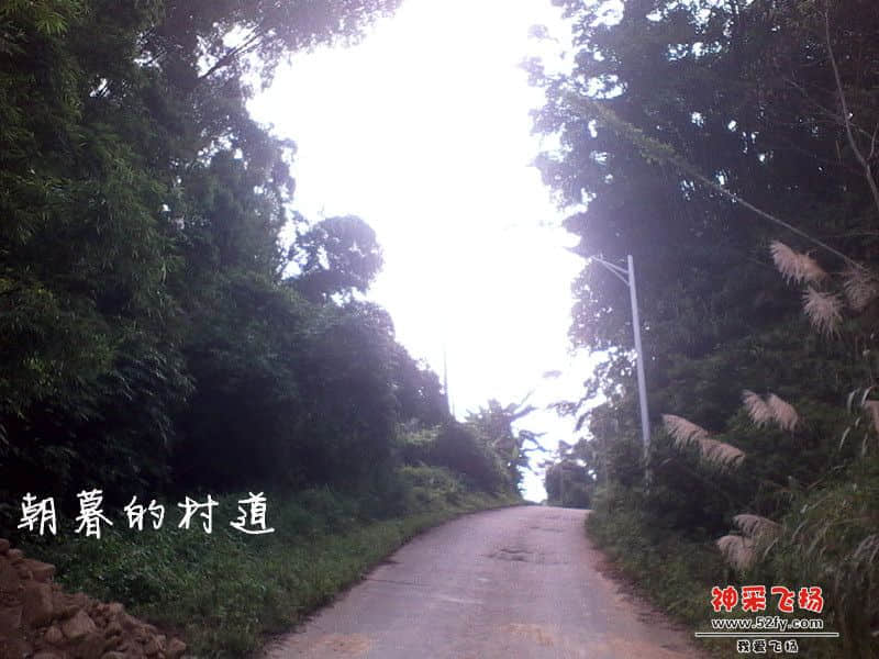 IMG_20130620_083022_副本.jpg