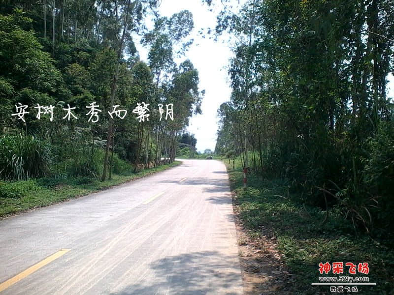 IMG_20130620_135203_副本.jpg