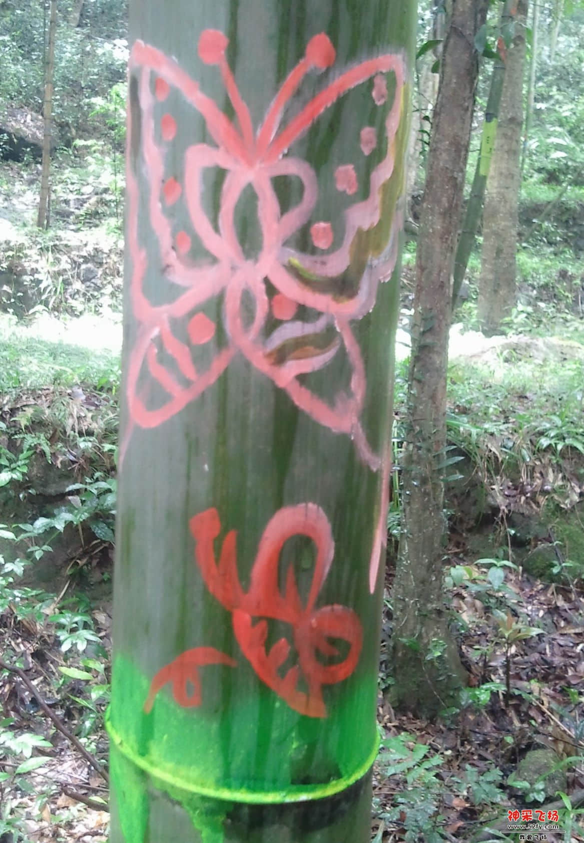 C360_2013-06-23-11-11-42-890.jpg