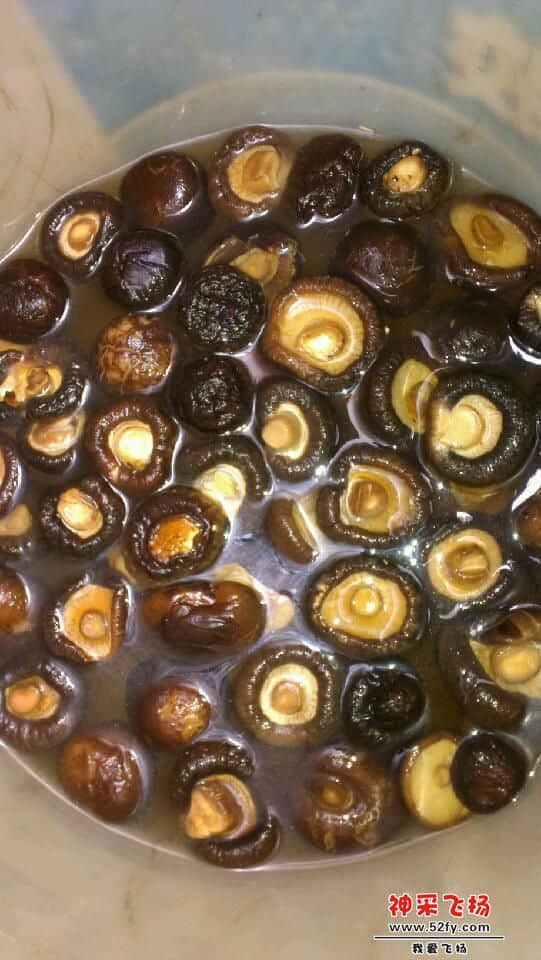 IMAG0668.jpg