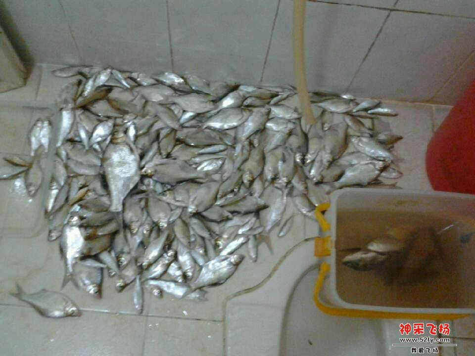 QQ图片20130701231418.jpg